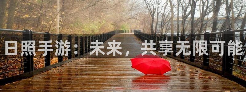 28大神结果查询：日照手游：未来，共享无限可能