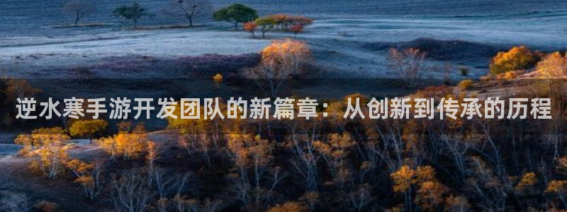 28大神怎么用不了