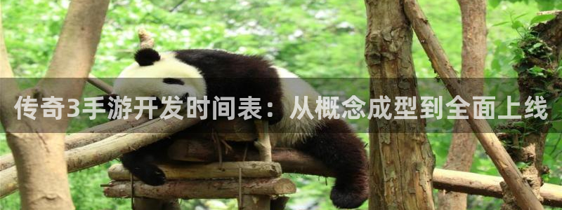 28大神老版本：传奇3手游开发时间表：从概念成型到全面上线