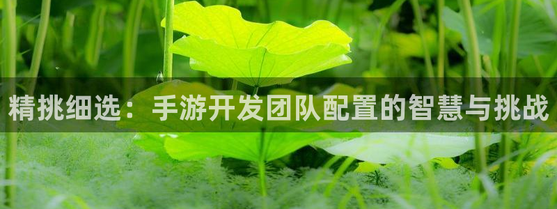 大神pc28在线预测：精挑细选：手游开发团队配置的智慧与挑战