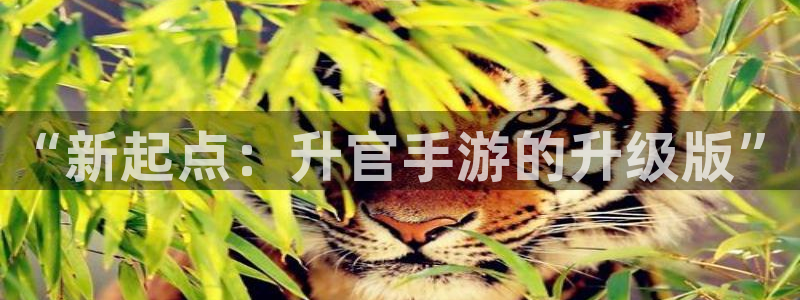 pc28大神预测官网下载地址：“新起点：升官手游的升级版”