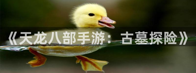 28大神软件不能用了