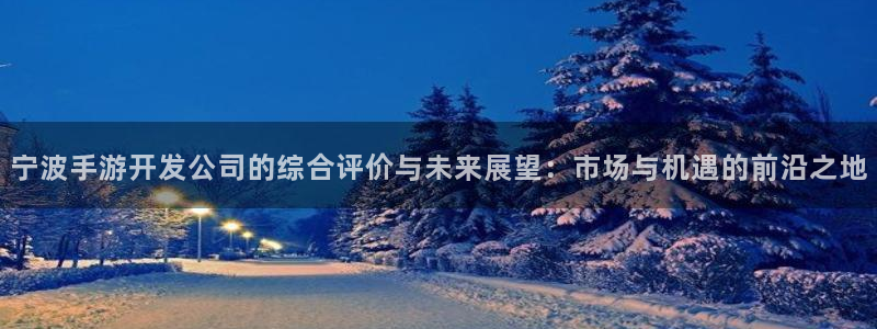 大神pc28预测