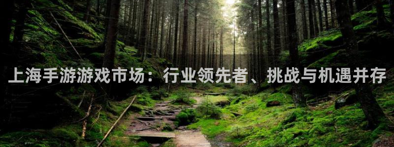 28大神v5.6.0：上海手游游戏市场：行业领先者、挑战与机