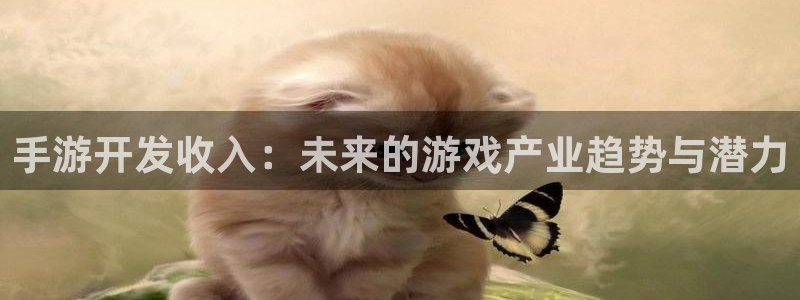 大神28分分预测