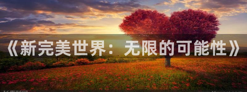 大神28助手