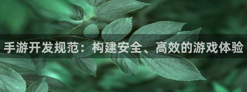 28大神在线预测：手游开发规范：构建安全、高效的游戏体验