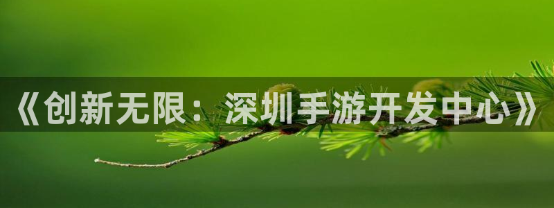 28大神app苹果下载链接：《创新无限：深圳手游开发中心》