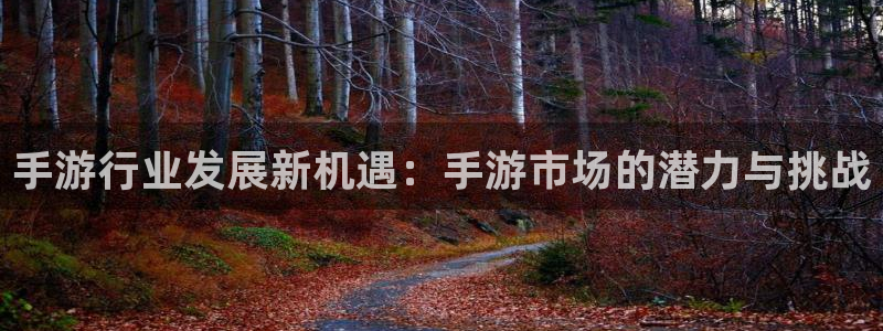 28大神结果查询