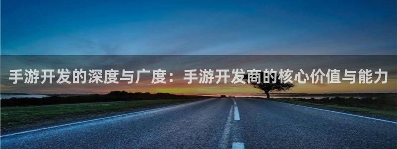 28大神老版本：手游开发的深度与广度：手游开发商的核心价值与