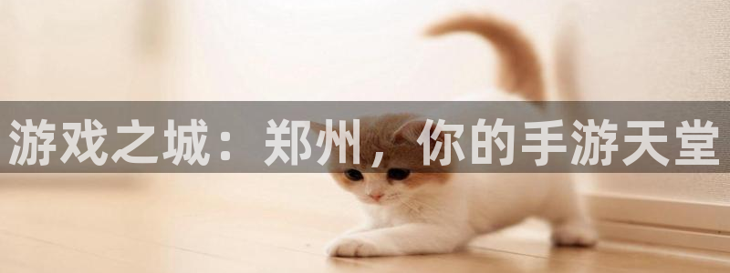 最新28大神预测：游戏之城：郑州，你的手游天堂