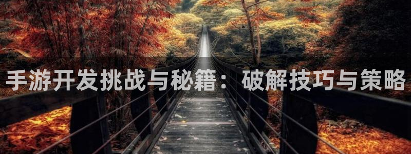 大神28论坛预测：手游开发挑战与秘籍：破解技巧与策略