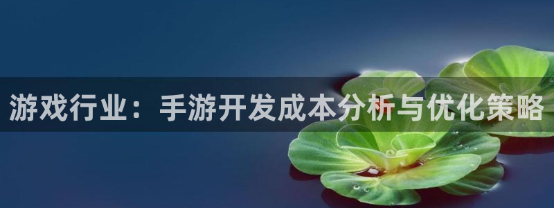 大神28官网预测：游戏行业：手游开发成本分析与优化策略