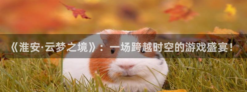 28大神app怎么下载：《淮安·云梦之境》：一场跨越时空的游