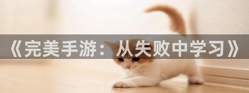 pc28大神预测百分比：《完美手游：从失败中学习》