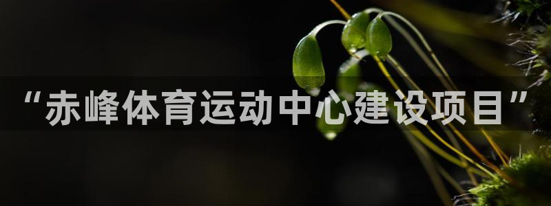 oety欧亿：“赤峰体育运动中心建设项目”