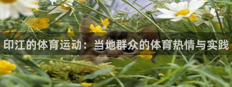 oety欧亿：印江的体育运动：当地群众的体育热情与实践