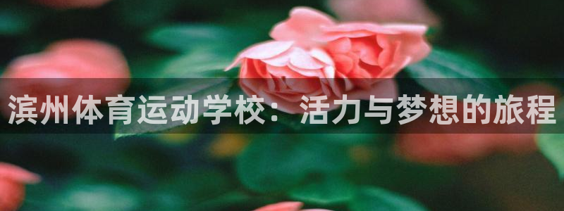 oety欧亿：滨州体育运动学校：活力与梦想的旅程