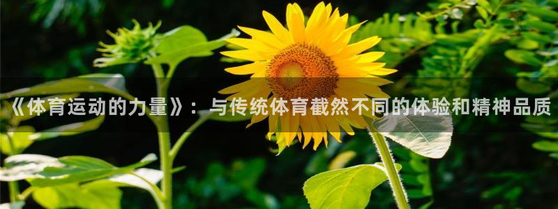oety欧亿：《体育运动的力量》：与传统体育截然不同的体验和精神品质