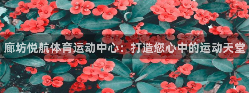 oety欧亿：廊坊悦航体育运动中心：打造您心中的运动天堂