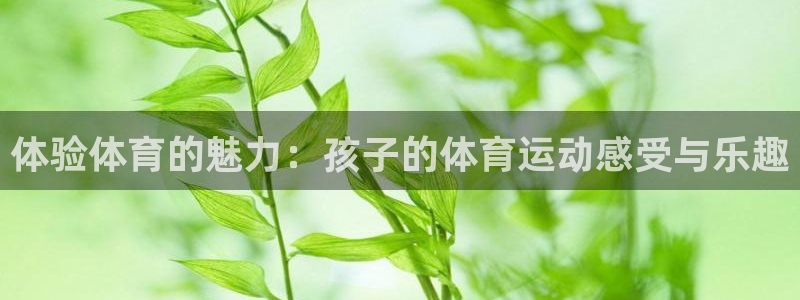 oety欧亿：体验体育的魅力：孩子的体育运动感受与乐趣