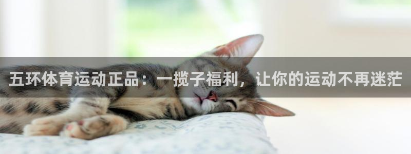 oety欧亿：五环体育运动正品：一揽子福利，让你的运动不再迷茫